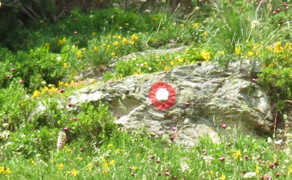 Red and white trail marker painted on a rock