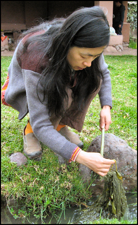 Washing yarn after it has been naturally dyed